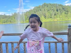 -五营红松林海景区