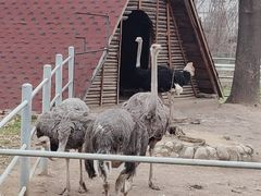 -西安秦岭野生动物园
