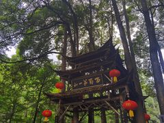 -青城山