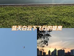 -南宁南湖公园