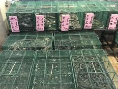 -荔城生鲜盛宴(番禺旗舰店)