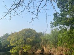 -西溪国家湿地公园