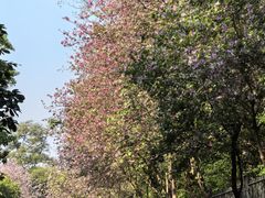 -点都德(广州白云山景区南门店)