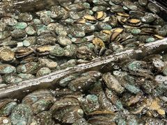 -海鲜e族(马王堆店)