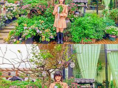 -大隐花事(熊婆婆的花园店)