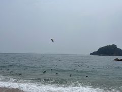-棒棰岛宾馆景区