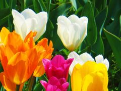 -北京植物园-展览温室