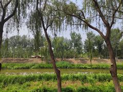 -东郊湿地公园