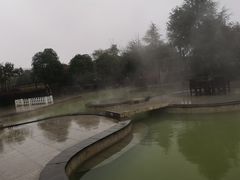 -御湾·浅水湾·贺胜土鸡汤(潜山店)