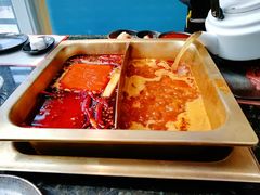 双拼锅底-王家渡火锅店(棕榈泉店)