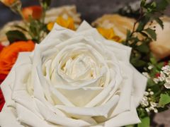 -井水小厨·湘菜(活力广场店)