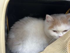 -宠颐生中康贝怡动物医院