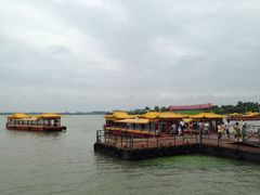 -溱湖国家湿地公园