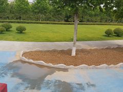 -鉴湖国家城市湿地公园