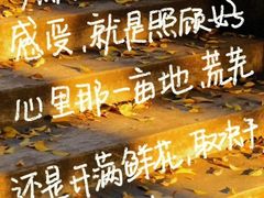 -金鹰购物中心(高新店)