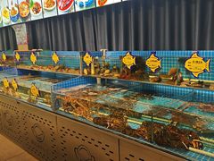 -韩记海鲜饺子旗舰店(红海新区店)