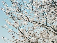 -龙美术馆(西岸馆)