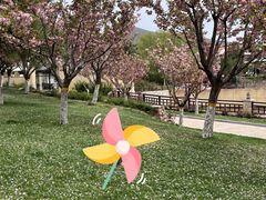 -静之湖度假区