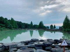 -铁山坪森林公园