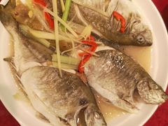 酸梅斑猪鱼-抱德·潮汕味(敦和店原惠城鱼仔)