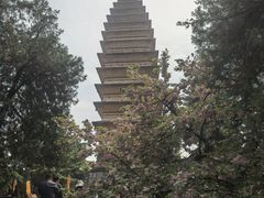 -洛阳白马寺