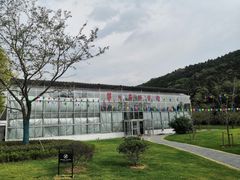 -龙寺生态园