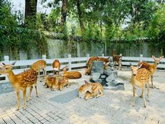 -北京野生动物园