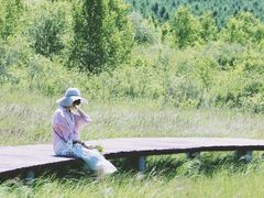 -塞罕坝国家级自然保护区