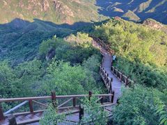 -大岭沟猕猴桃谷风景区