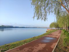 -丁香湖公园