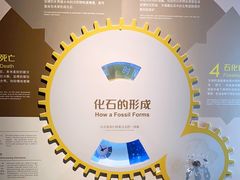 -正佳自然科学博物馆