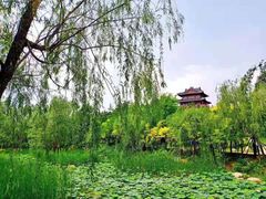 -北戴河碧螺塔海上酒吧公园