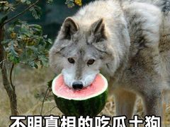 -黄记煌三汁焖锅(新世纪广场店)