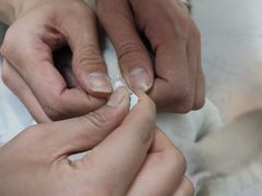 -特一安24小时宠物医院·骨科·中兽医