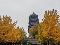 -玲珑塔公园