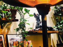 -麦落精酿啤酒餐吧(先农大院店)