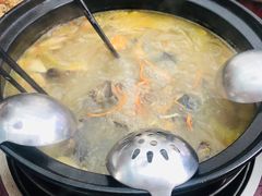 -蘑统田下·野生菌火锅