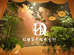 -上海雅居乐万豪侯爵酒店