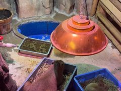 -正佳雨林生态植物园
