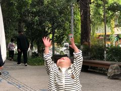 -成都市活水公园