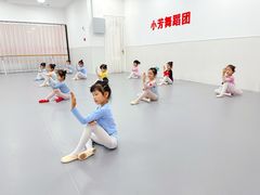 -小芳舞蹈团·少儿舞蹈·中国舞(龙江校区)