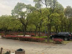 -金匮公园-南入口停车场