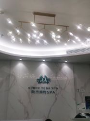 -奥本科技美肤·养生SPA