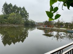 -老杨砂锅鱼庄