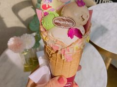 -哈根达斯(龙湖时代天街店)