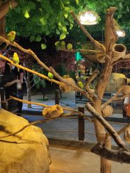 -酷嗒动物文化乐园(cutezoo西溪乐天城店)