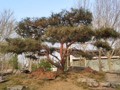 -北京雁栖湖国际会展中心