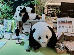 -轩客会(熊猫书店)