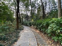 -深圳国际园林花卉博览园