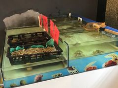 -牛品福潮汕牛肉火锅(旺庄店)